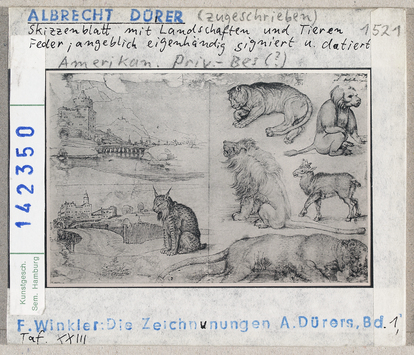 Vorschaubild Albrecht Dürer zugeschrieben: Skizzenblatt mit Landschaften und Tieren 